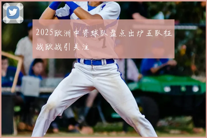 2025欧洲中资球队盘点出炉五队征战欧战引关注