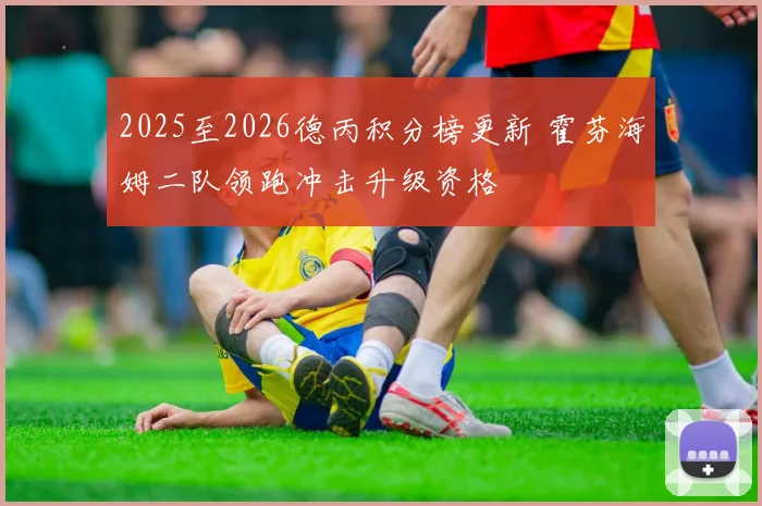 2025至2026德丙积分榜更新 霍芬海姆二队领跑冲击升级资格