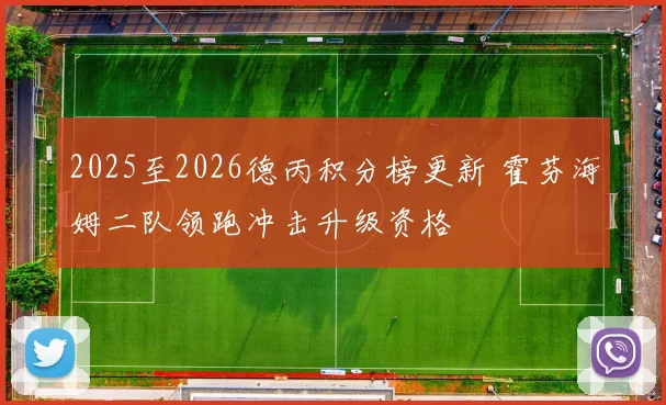 2025至2026德丙积分榜更新 霍芬海姆二队领跑冲击升级资格