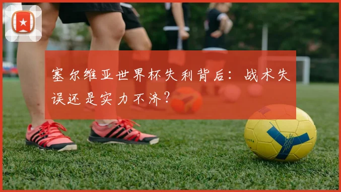 塞尔维亚世界杯失利背后：战术失误还是实力不济？