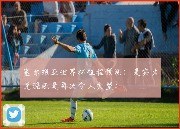 塞尔维亚世界杯征程预测:是实力兑现还是再次令人失望?