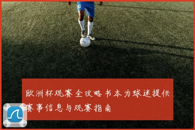 欧洲杯观赛全攻略书本为球迷提供赛事信息与观赛指南