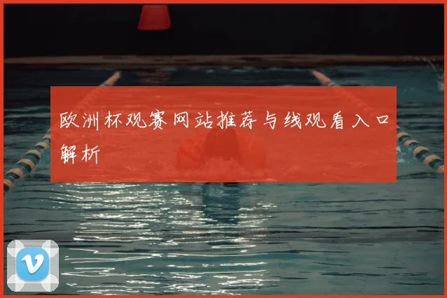 欧洲杯观赛网站推荐与线观看入口解析