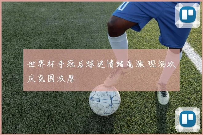 世界杯夺冠后球迷情绪高涨 现场欢庆氛围浓厚