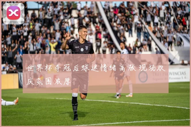 世界杯夺冠后球迷情绪高涨 现场欢庆氛围浓厚